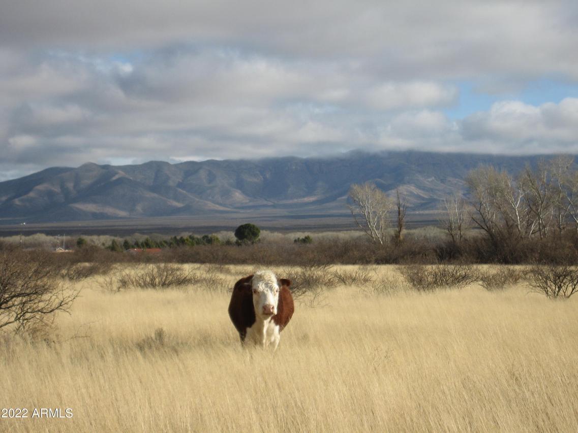 TBD E Boundary Rd. #5, Hereford, AZ 85615