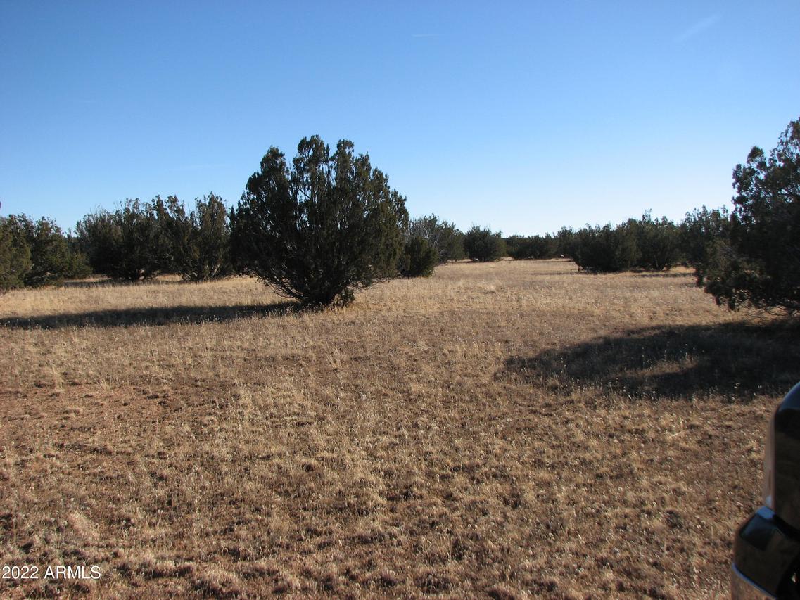 Sec 7 Chevelon Retreat #003, Heber, AZ 85928