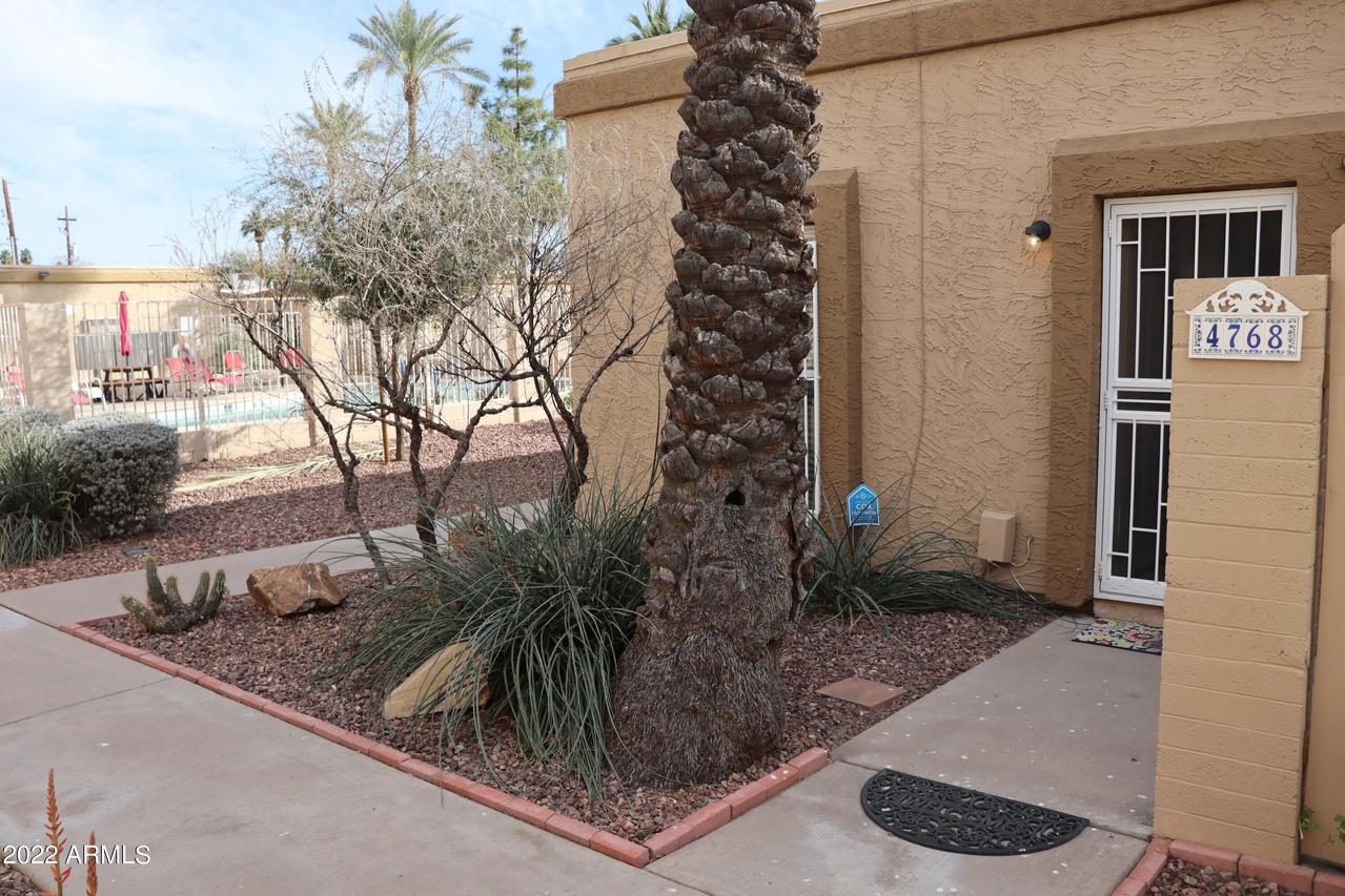 4768 N 14th St., Phoenix, AZ 85014
