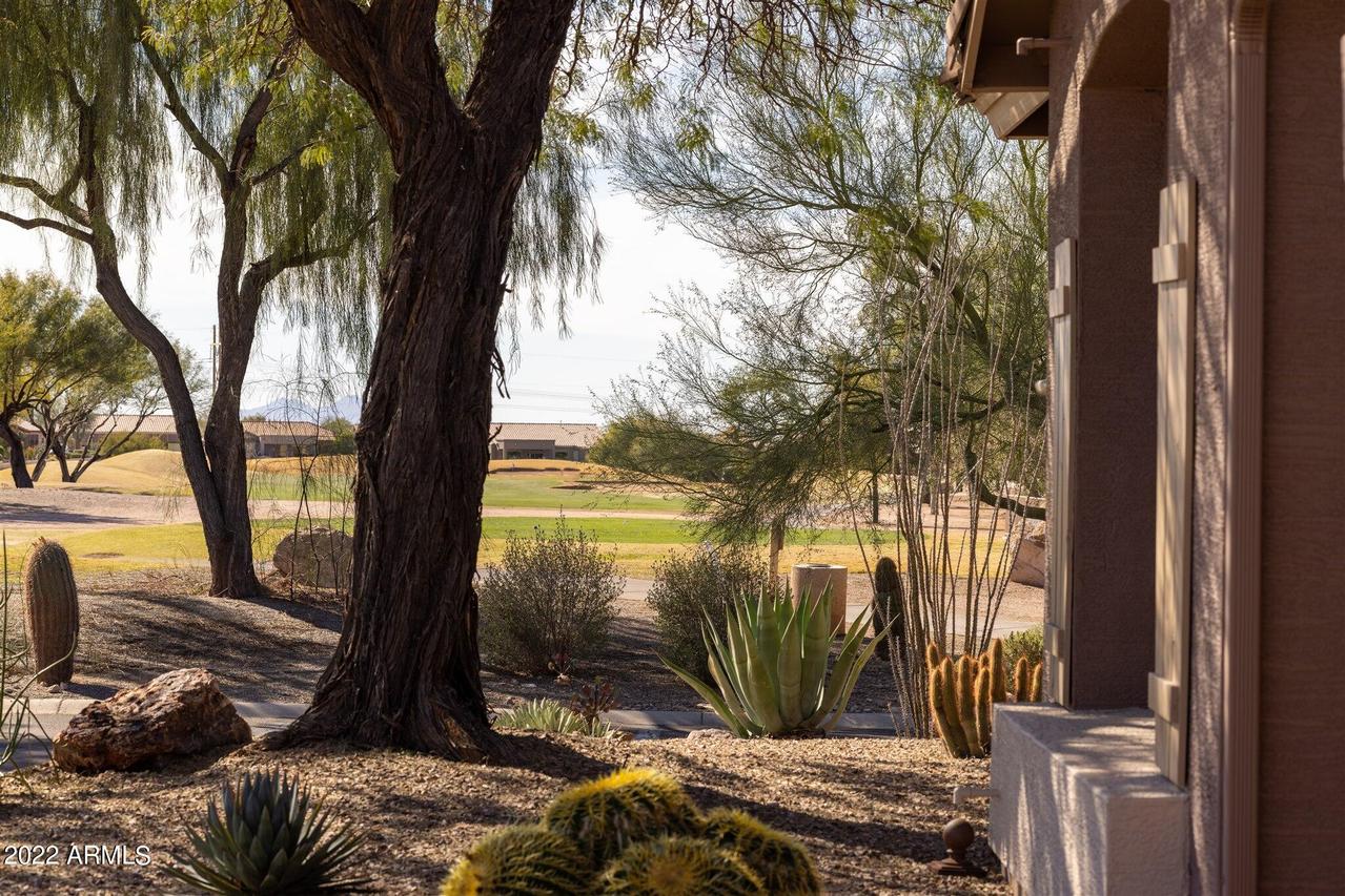 5362 S Joshua Tree Ct., Gold Canyon, AZ 85118