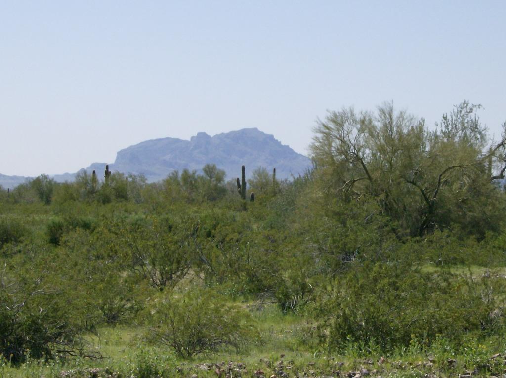 401XX W Peoria Rd. #-, Tonopah, AZ 85354