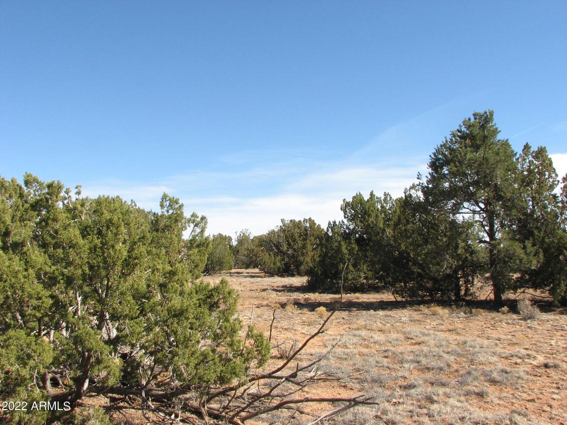 Sec 8 T14n, R16e:ne4 Nw4 #012, Heber, AZ 85928