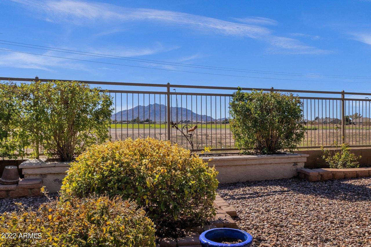 4477 E Ficus Way, Gilbert, AZ 85298