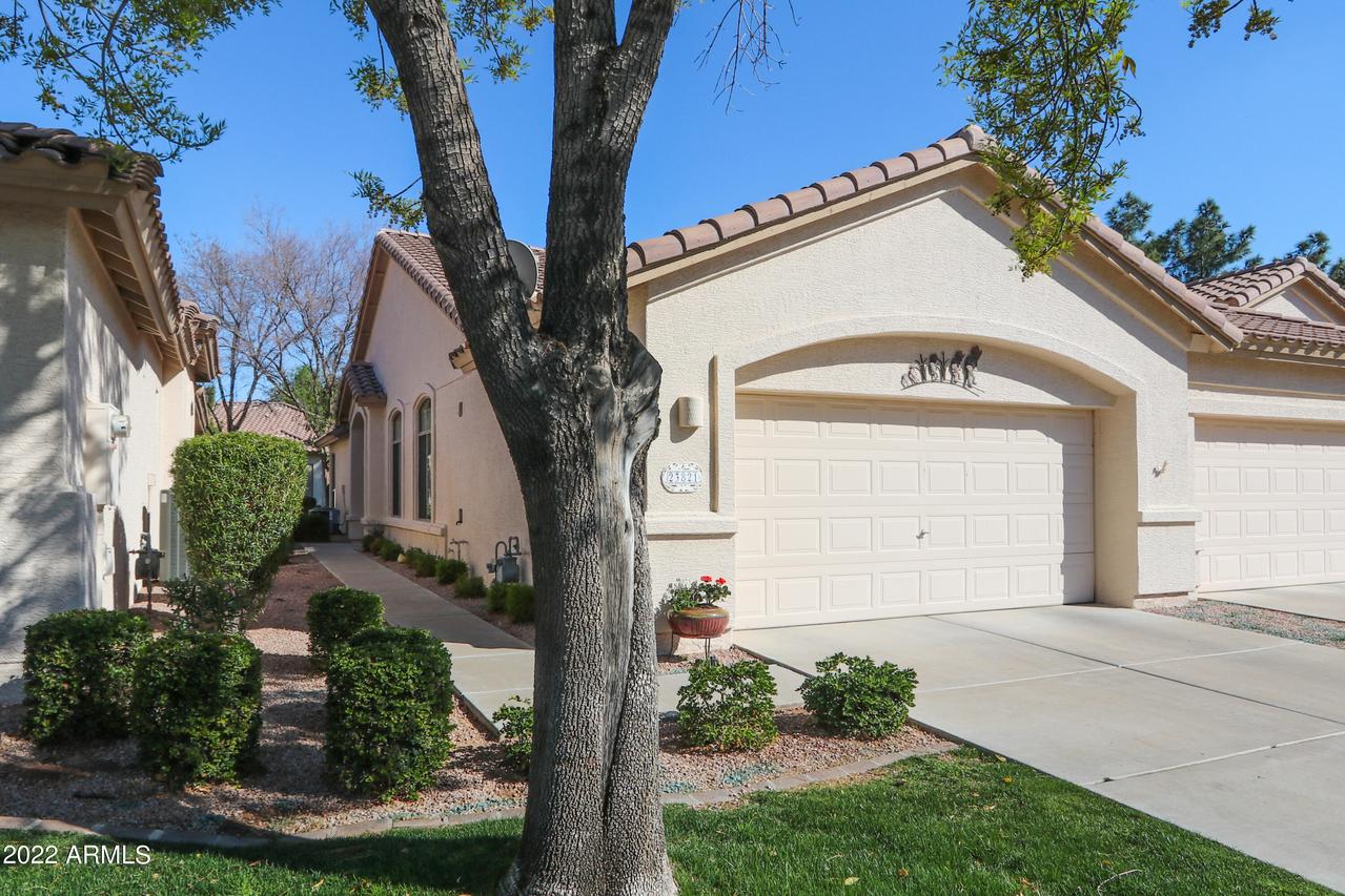 23821 S Serenity Way, Sun Lakes, AZ 85248