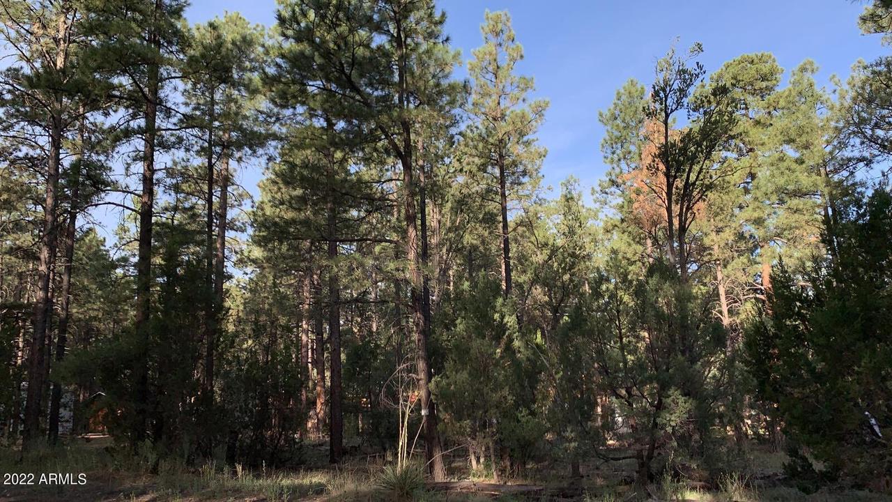 2966 Teddy Bear Tr. #330, Overgaard, AZ 85933