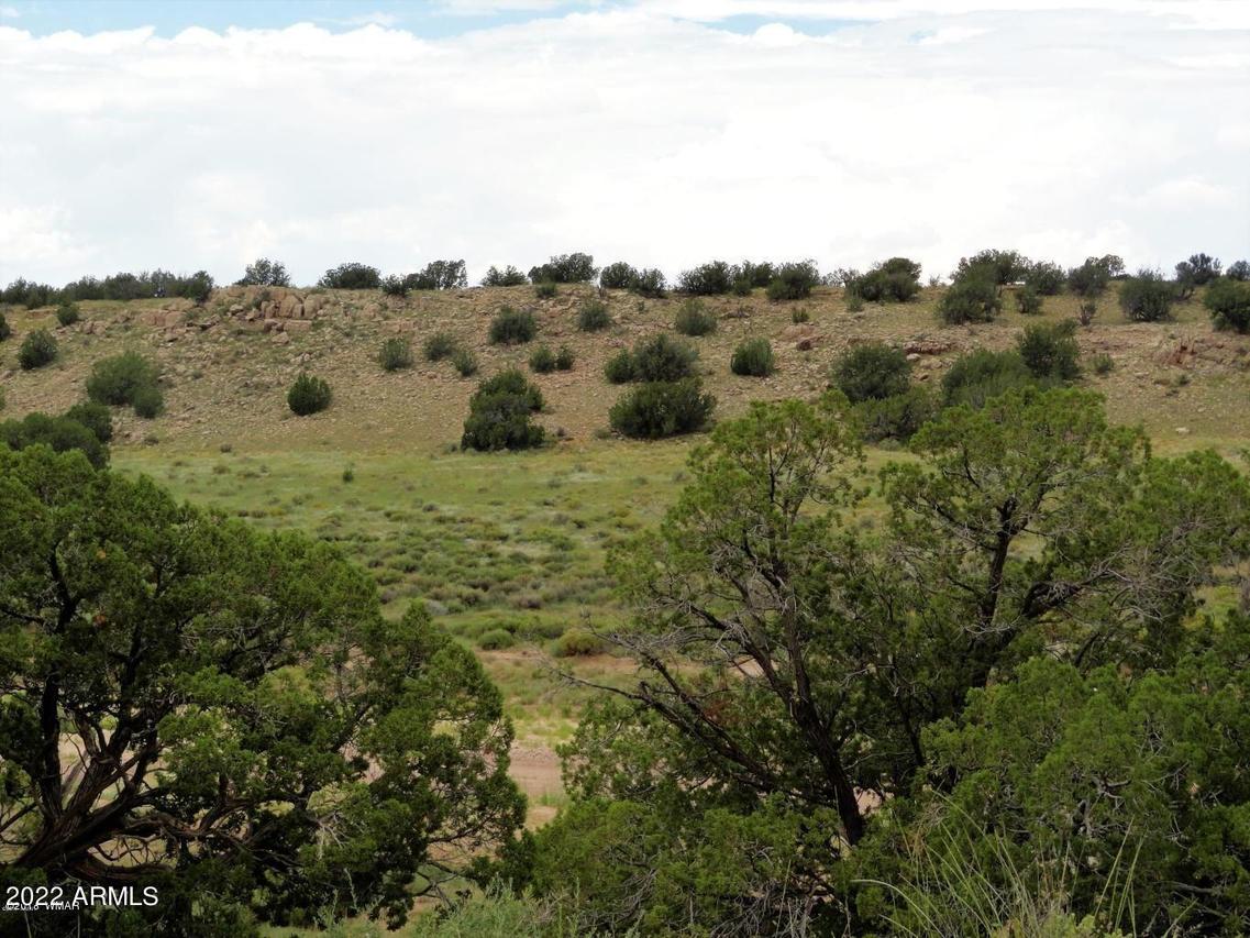 5796 Chevelon Canyon (lot 107) Dr. #107, Heber, AZ 85928