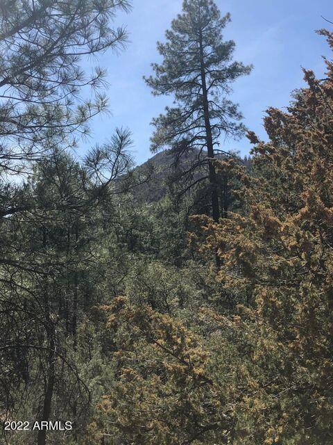Parcel 1 N Pine Hollow Tr. #2, Pine, AZ 85544