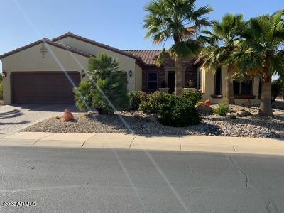 20040 N Rawhide Way, Surprise, AZ 85387