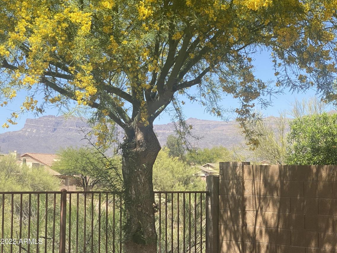 8466 S Mountain Air Ln., Gold Canyon, AZ 85118