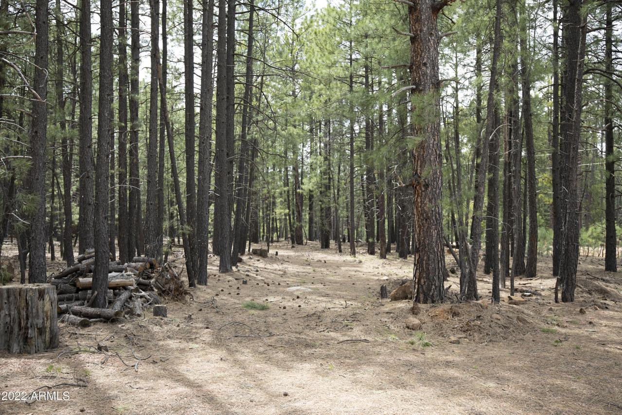 1924 Quilt Country Dr. #781, Forest Lakes, AZ 85931