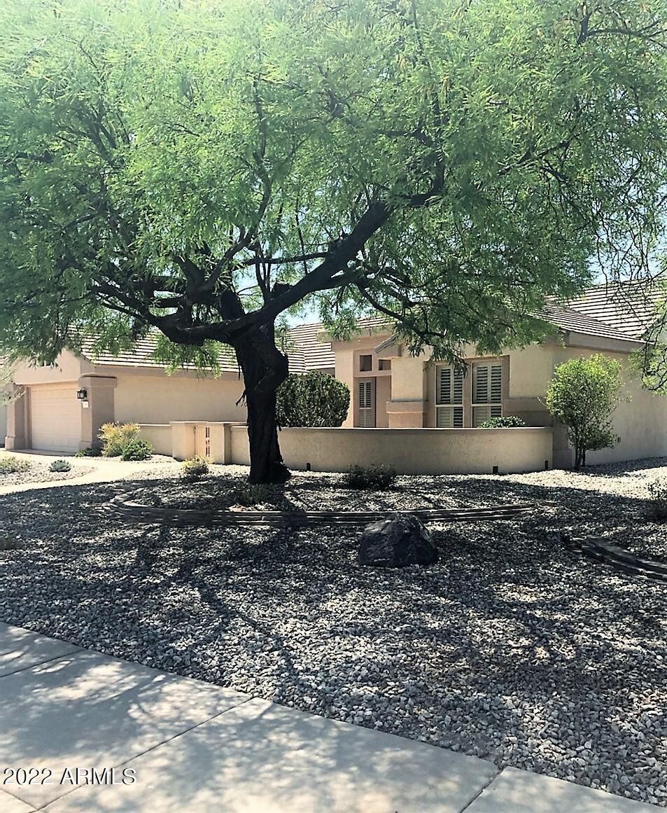 15565 W Camino Real Way, Surprise, AZ 85374