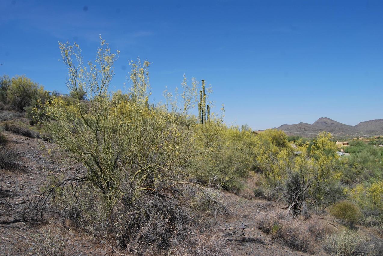38555 N School House Rd., Cave Creek, AZ 85331
