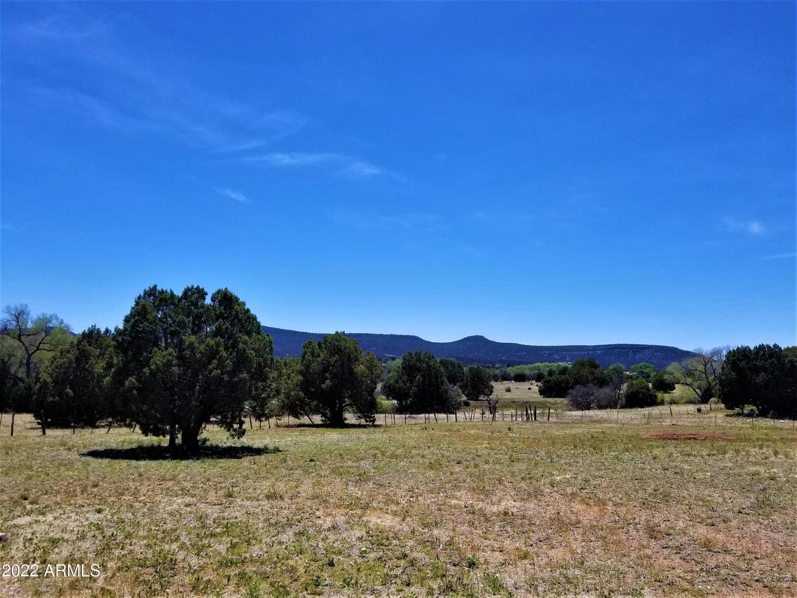 233 E Hazelwood Rd., Young, AZ 85554