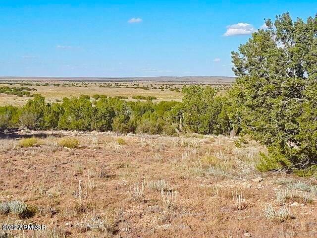 - Chevelon Canyon Ranch Unit 3 #342, Heber, AZ 85928