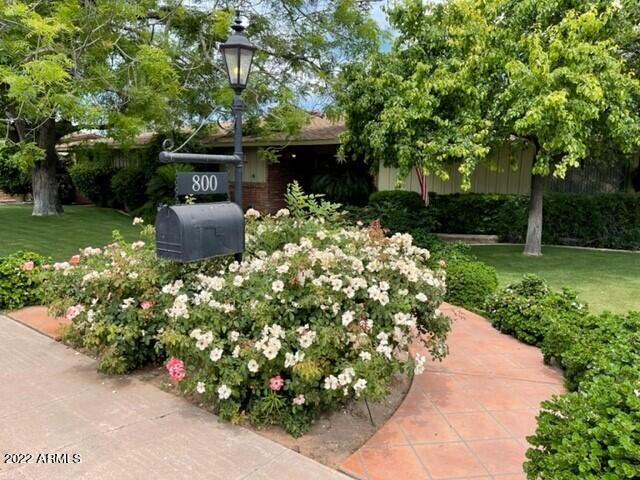 800 W Tyson St., Chandler, AZ 85225