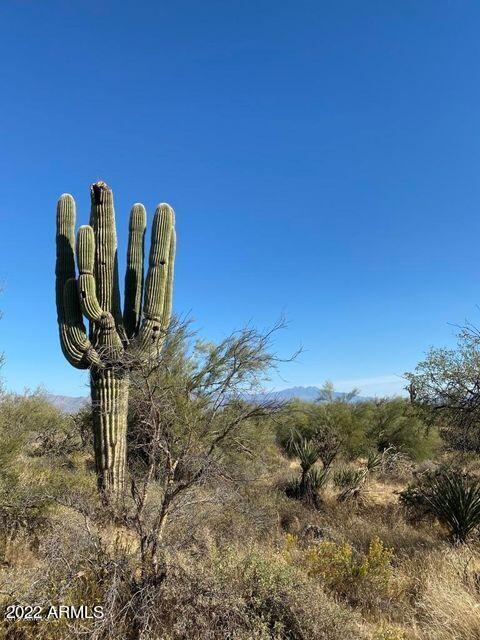 150xx E Lomas Verdes Dr. #5, Scottsdale, AZ 85262