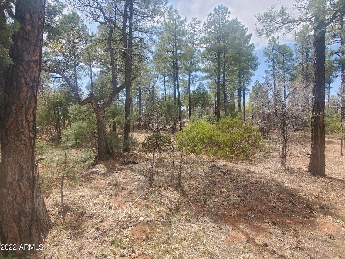 7372 Carina Ln. #84, Lakeside, AZ 85929