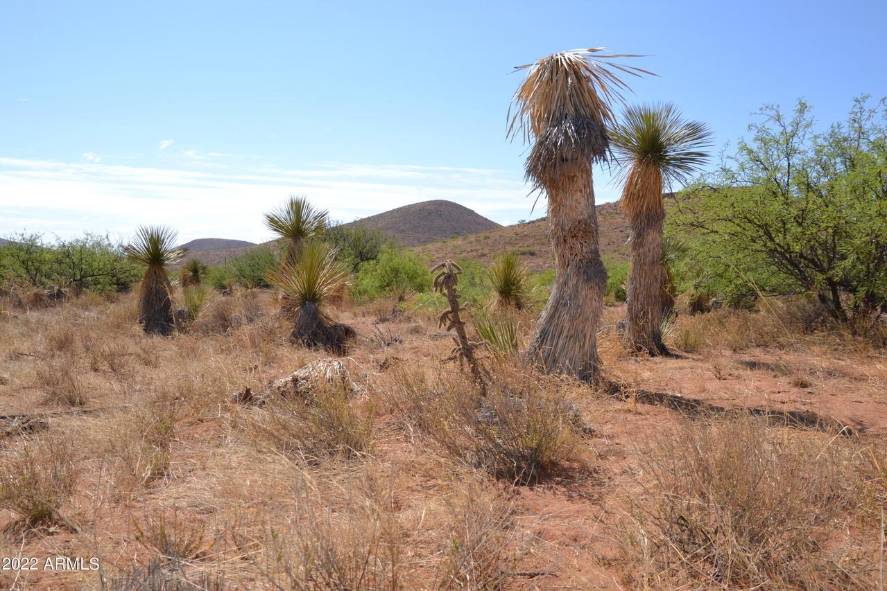Morgan Ranch Rd. #210, Elfrida, AZ 85610