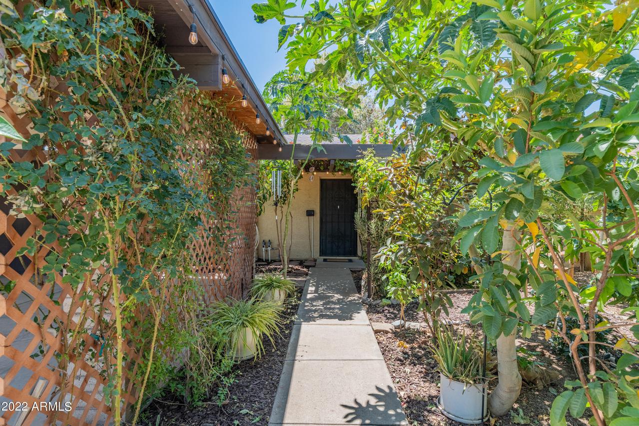 5245 W Carol Ave., Glendale, AZ 85302