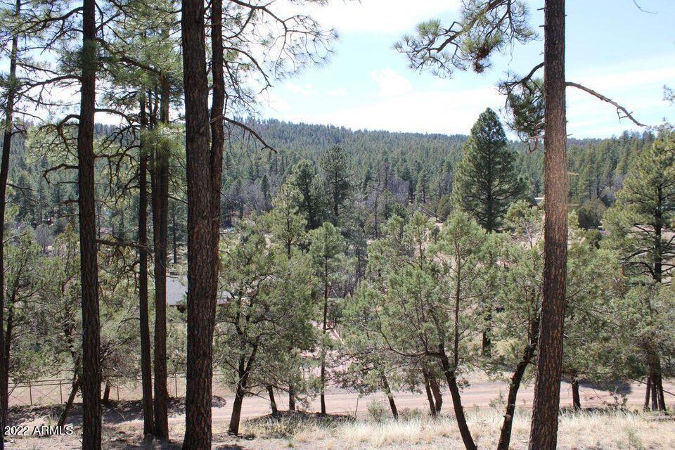 183 D Running Elk Rd. #D, Payson, AZ 85541