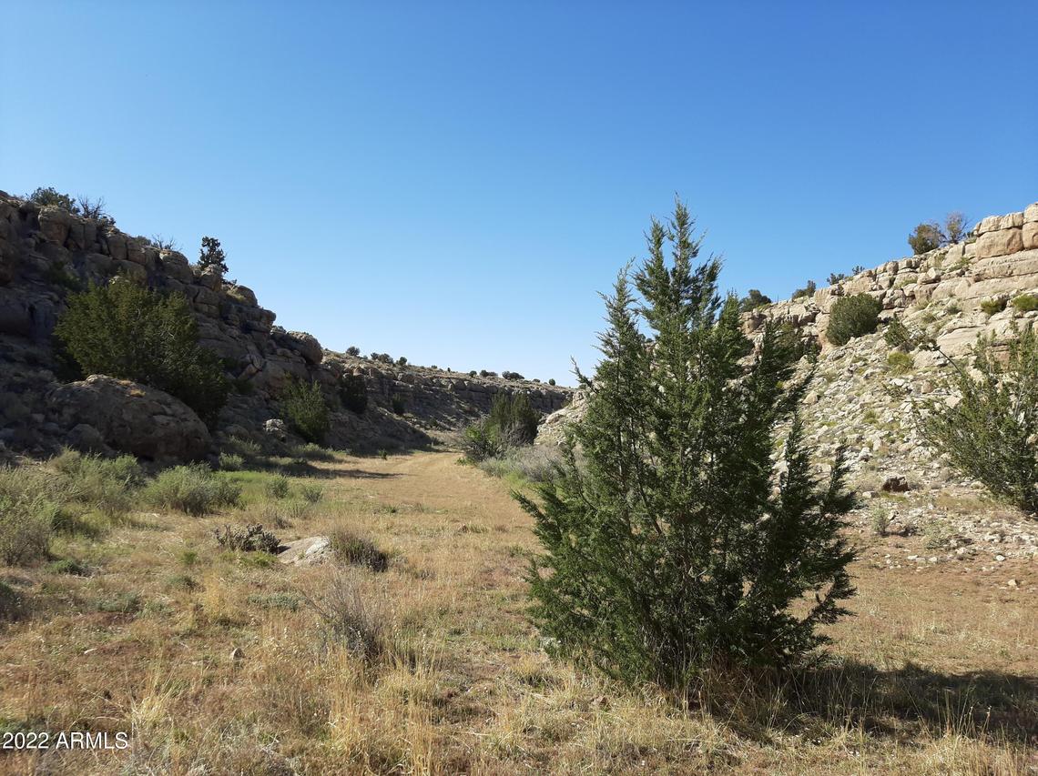 APN 111-22-458 #458, Heber, AZ 85928