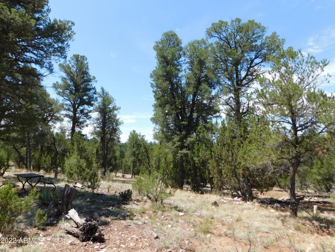 1919 Elk Rd. #26, Heber, AZ 85928