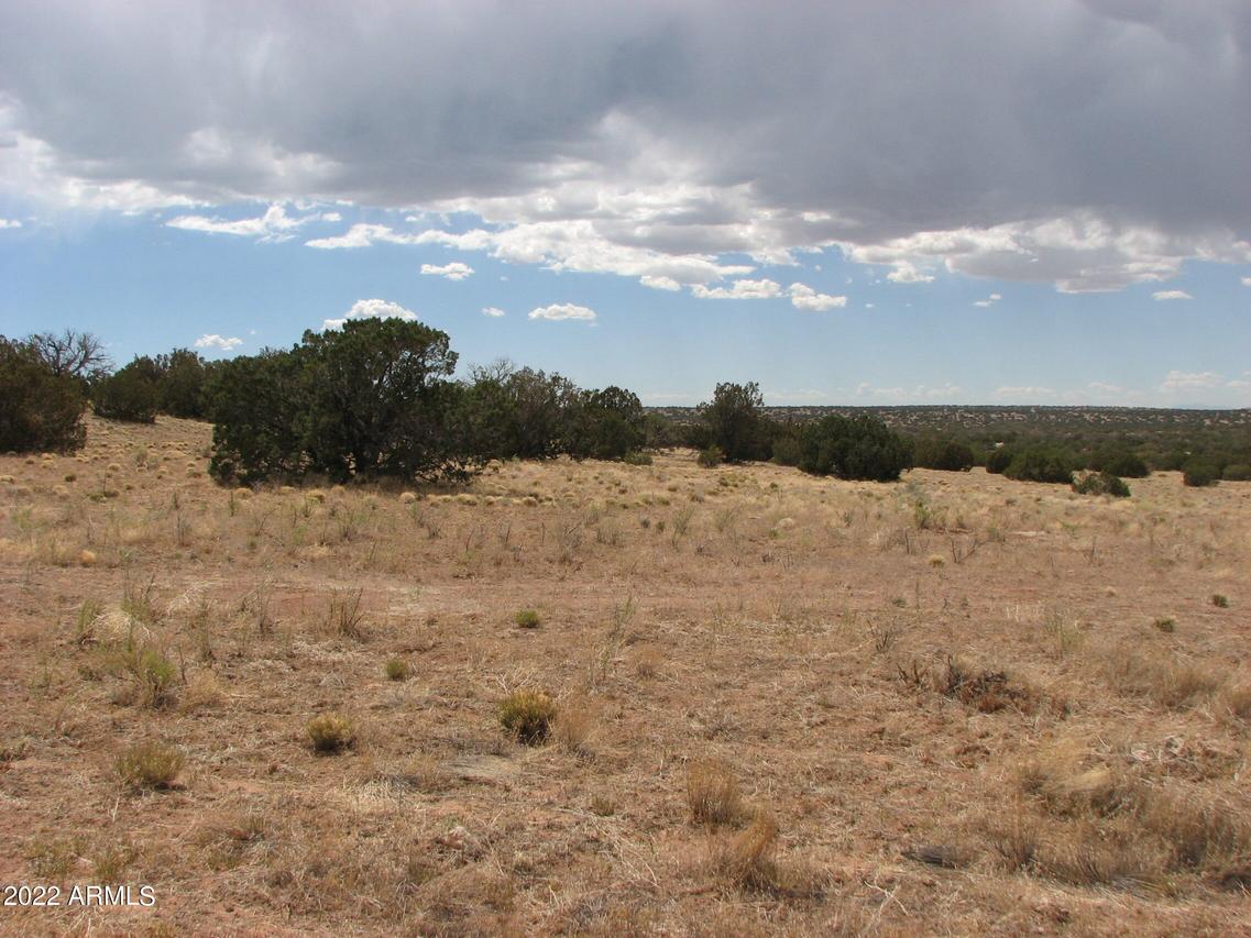 Sec 18 T14n,r17e #002, Heber, AZ 85928
