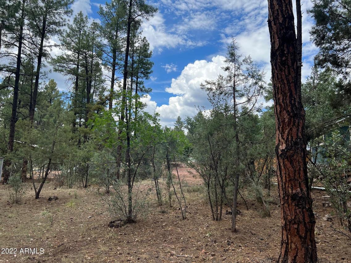 Lot 32 Pinewood Lane #32, Pine, AZ 85544