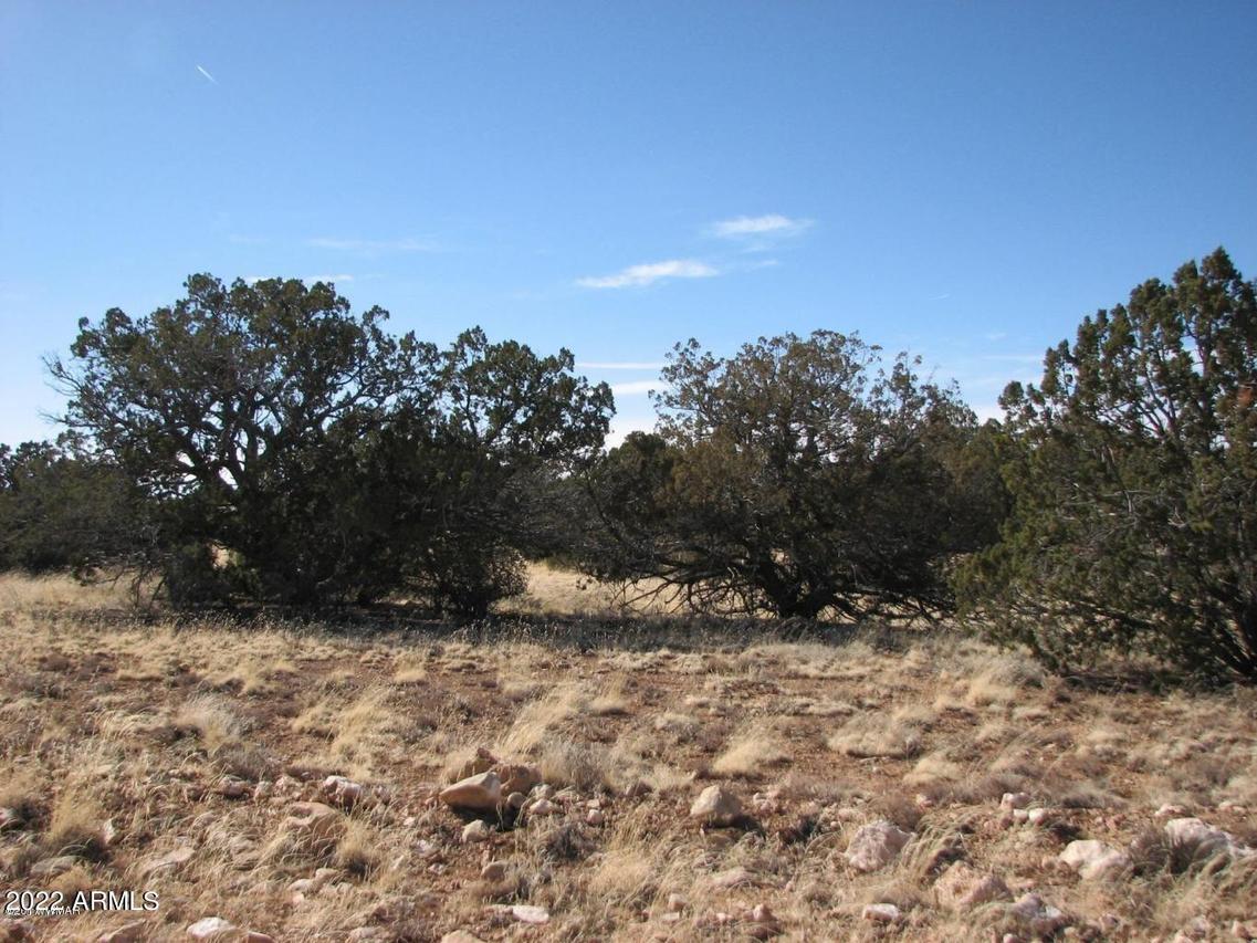Lot 507 Chevelon Canyon Ranch Unit 3 #507, Heber, AZ 85928
