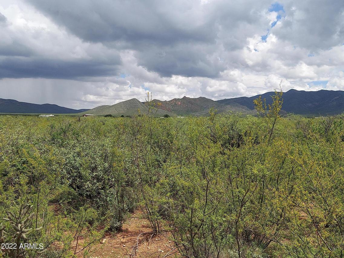 TBD S Tully Rd. #-, Hereford, AZ 85615