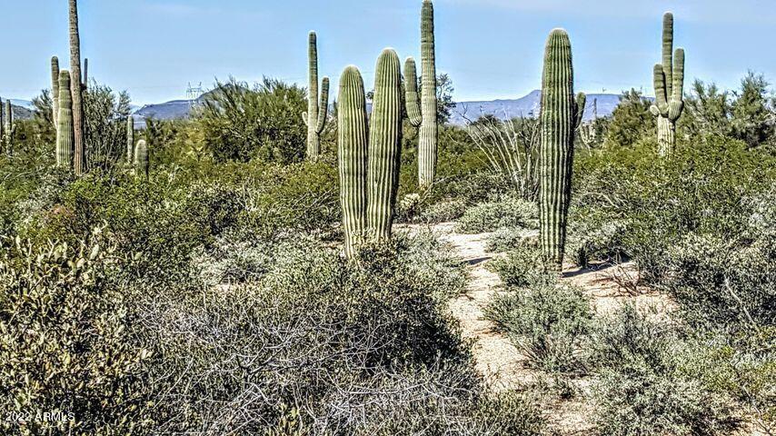 27909 N 93rd St., Scottsdale, AZ 85262