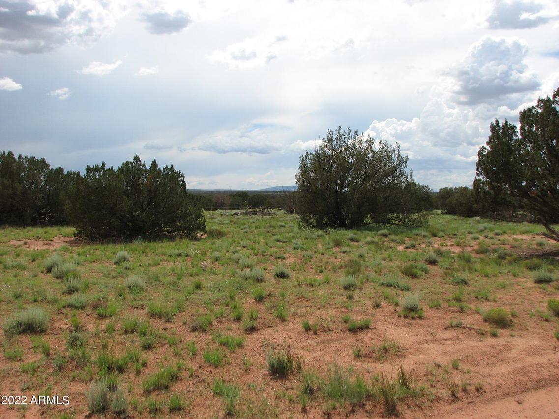 Lot 184 Chevelon Canyon Ranch #184, Heber, AZ 85928