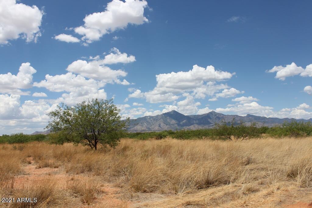 127 E Vineyard Dr. #1, Hereford, AZ 85615