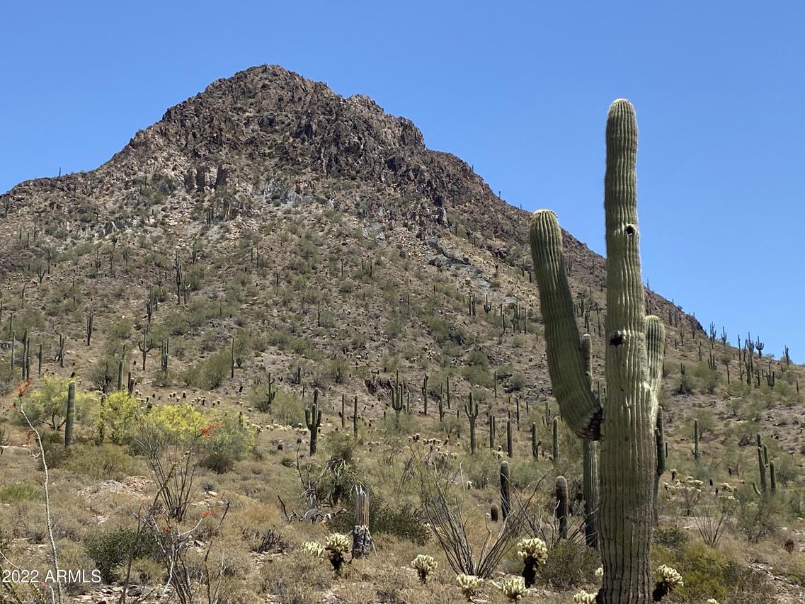 462XX N 34th Ave. #-, New River, AZ 85087