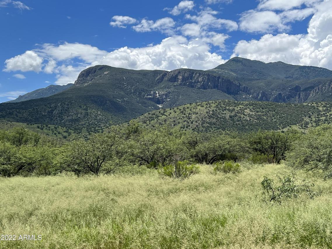 00 Richards Rd. #-, Hereford, AZ 85615