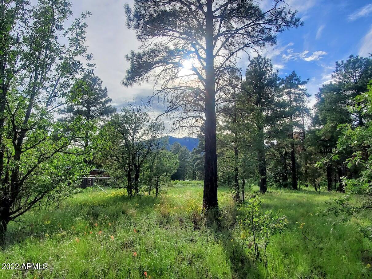 5214 Bighorn Dr. #-, Flagstaff, AZ 86004