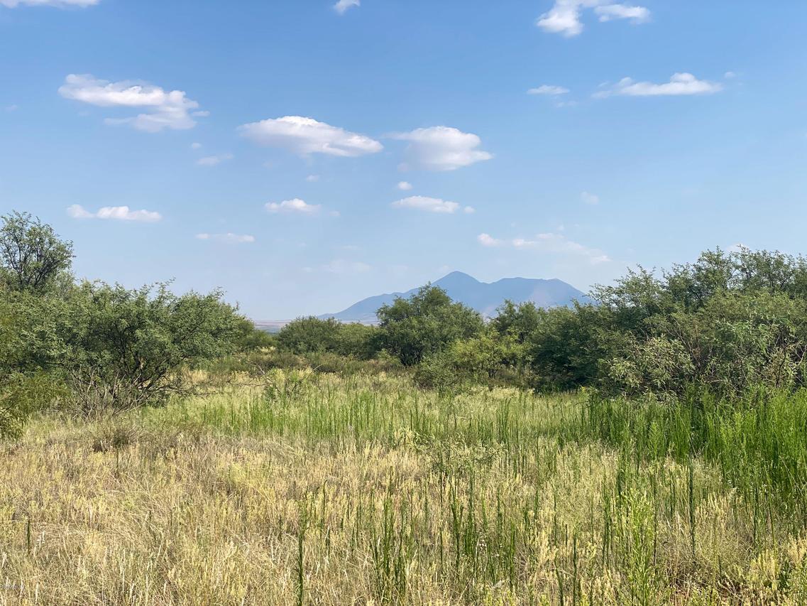 TBD S Calle Mia #E, Hereford, AZ 85615