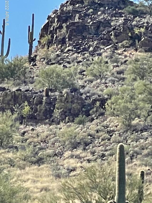 43000 N 10th St., New River, AZ 85087