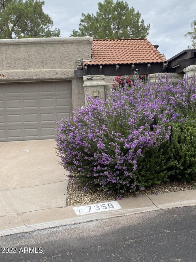7356 E Pleasant Run Run, Scottsdale, AZ 85258