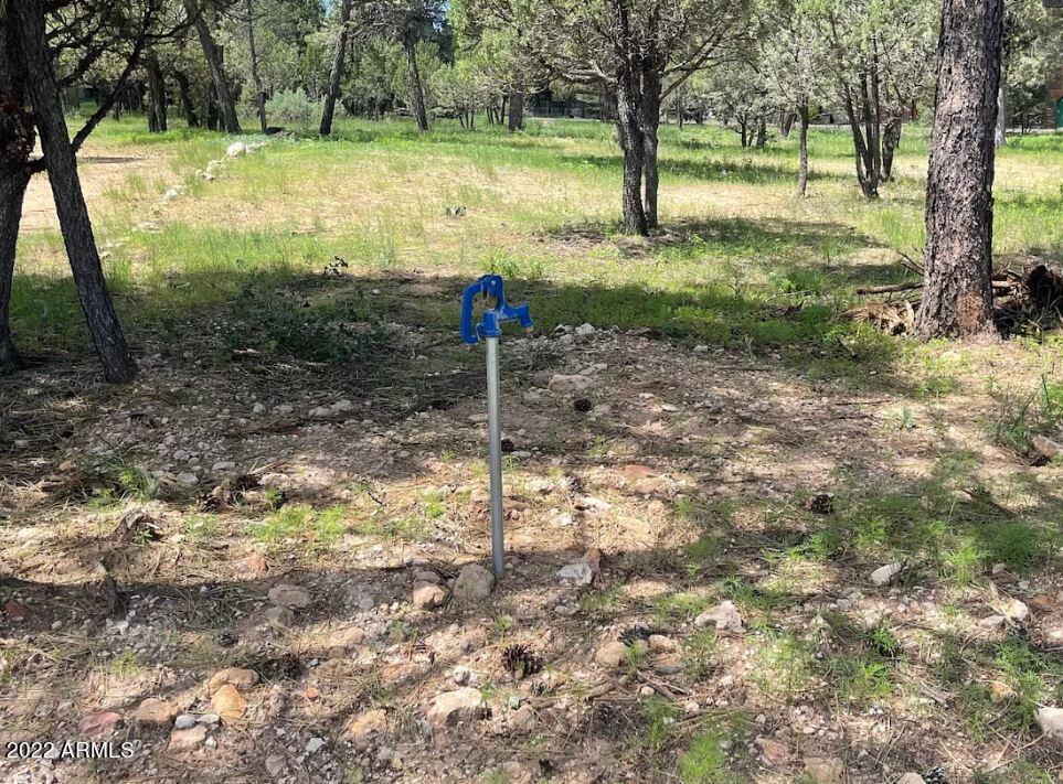 2862 Buck Cir. #397, Overgaard, AZ 85933