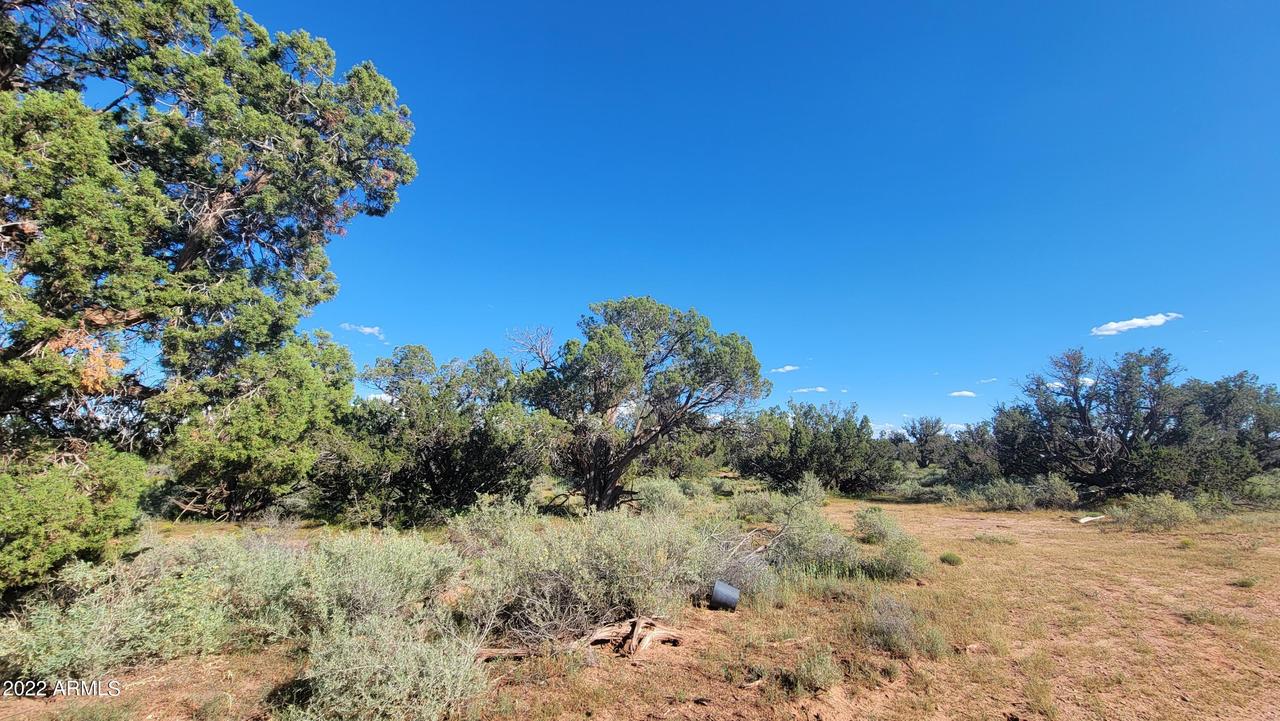 4941 Churchill Rd. #-, Snowflake, AZ 85937