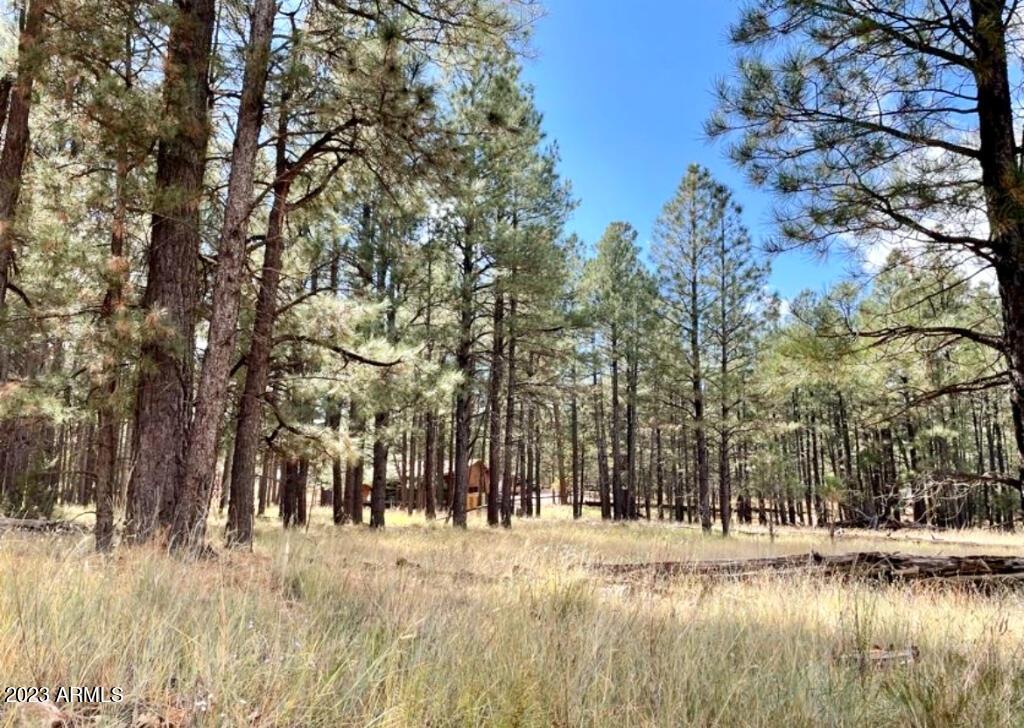 2378 Blue Ridge Dr. #479, Happy Jack, AZ 86024