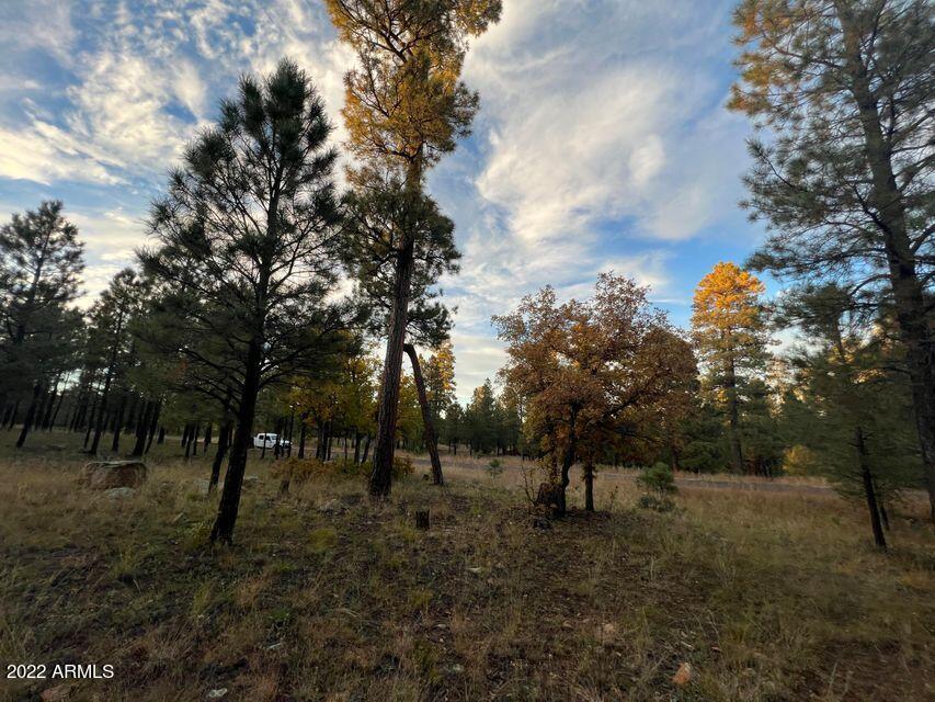 2257 Pine Canyon Dr. #179, Happy Jack, AZ 86024