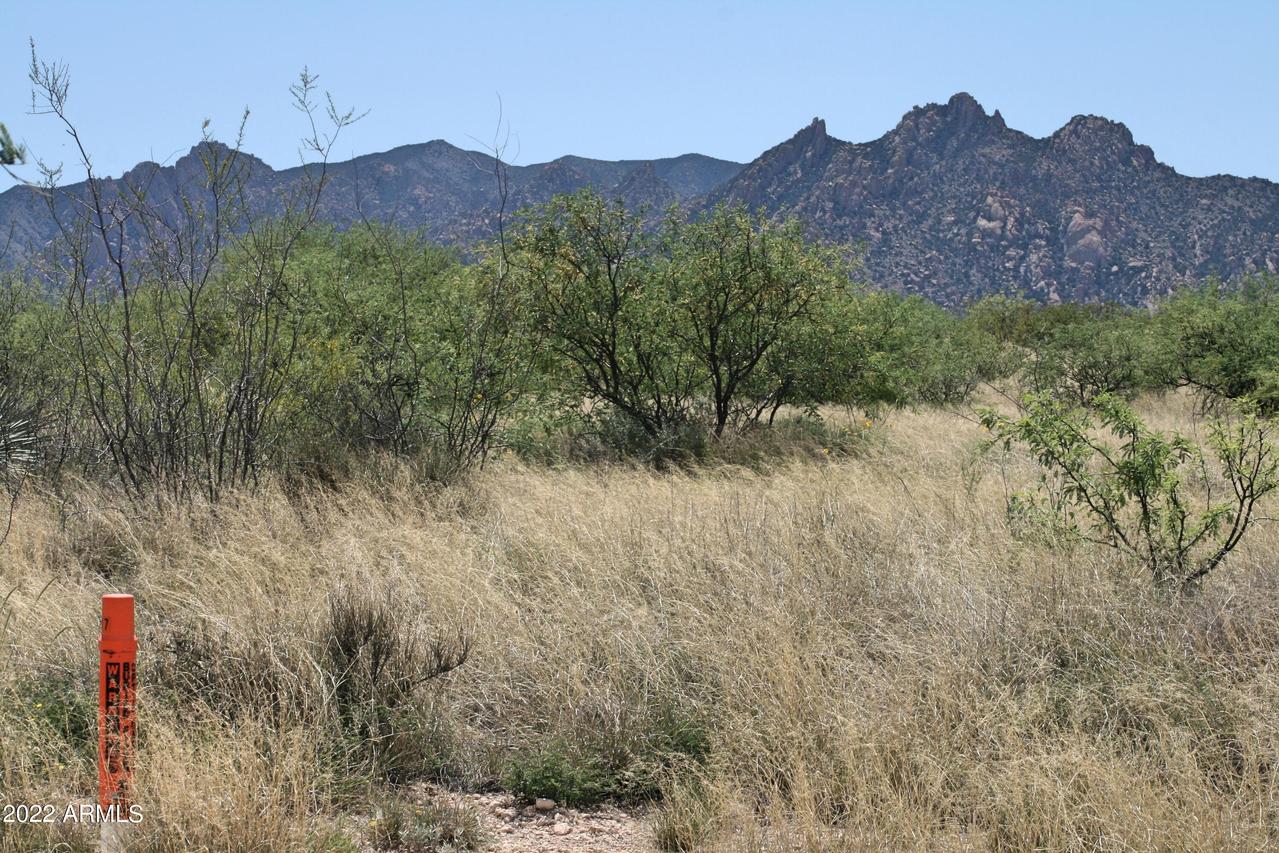 141 Diamondback Rd., Saint David, AZ 85630