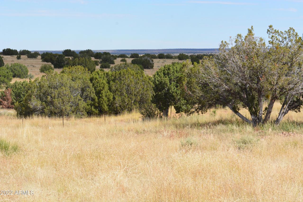 Well 4 Rd. #-, Heber, AZ 85928