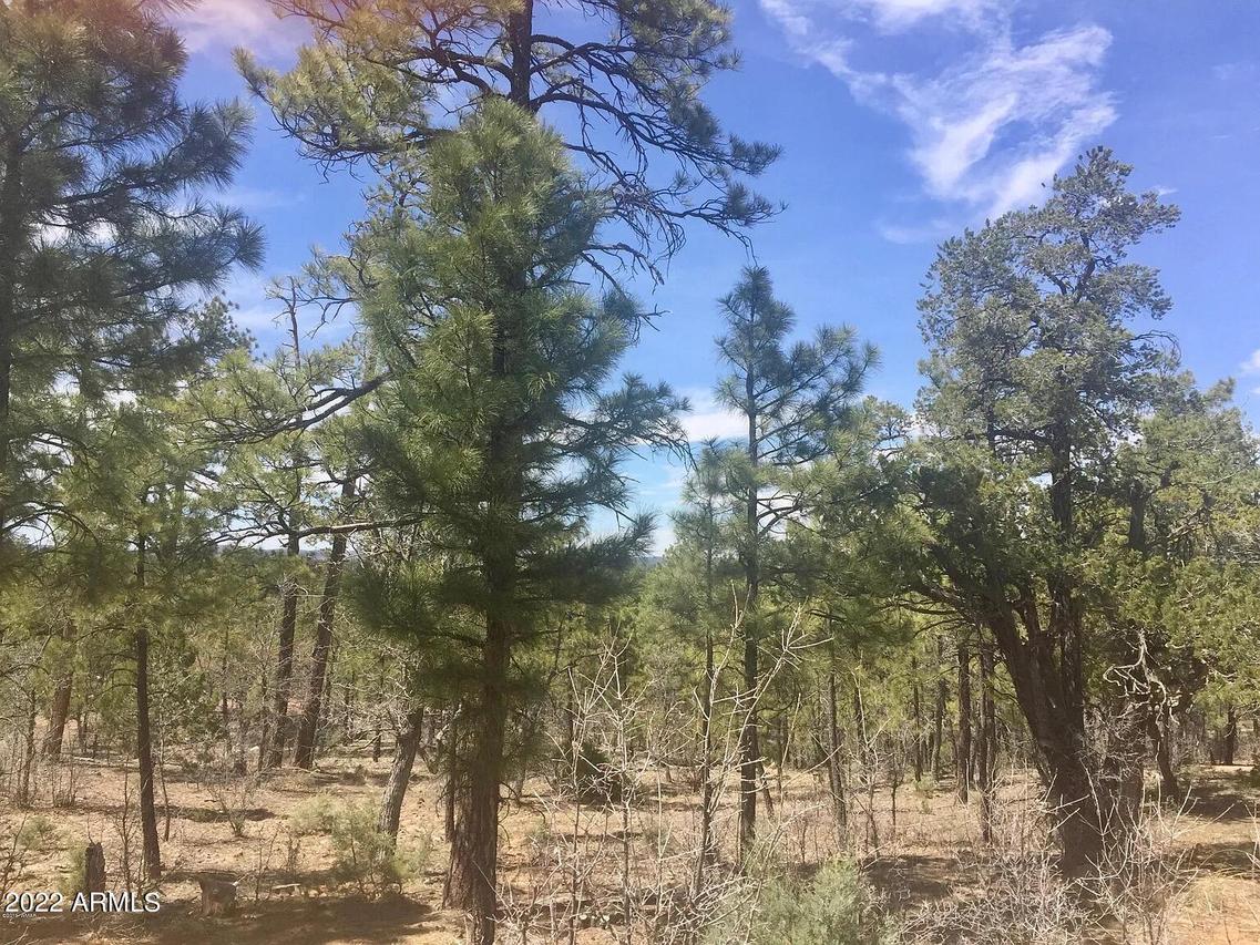 1490 W Snow Creek Tr. #103, Show Low, AZ 85901