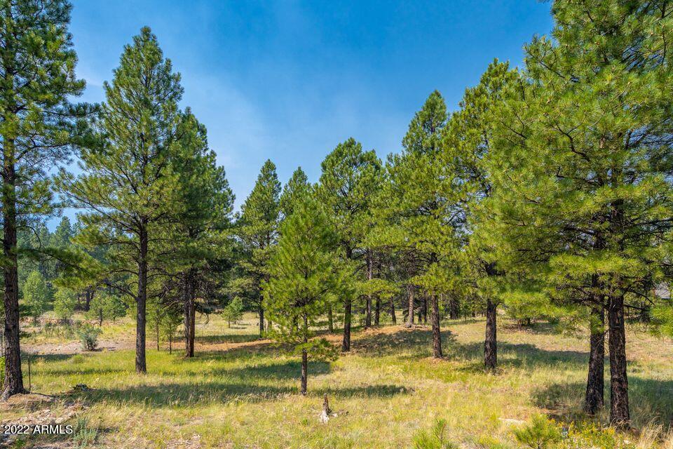 1859 E Marengo Ct. #137, Flagstaff, AZ 86005