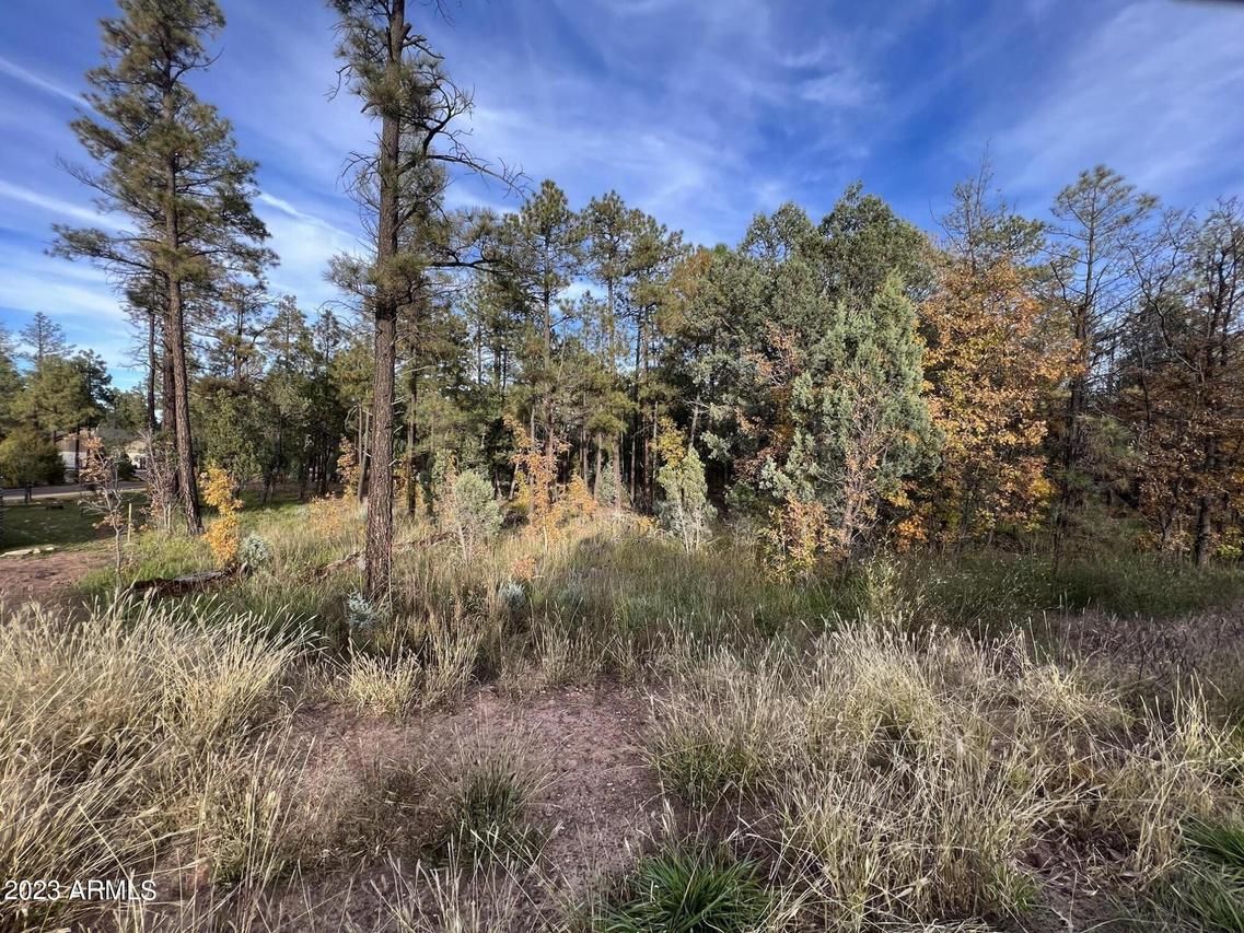TDB W White Mountain Blvd. #-, Lakeside, AZ 85929