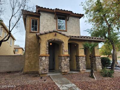 16 N 87th Dr., Tolleson, AZ 85353