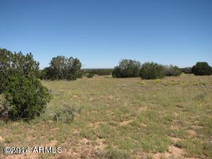5873 Canyon View, Lot 101 Dr. #101, Heber, AZ 85928